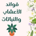 Logo of benefits of herbs and plants android Application 